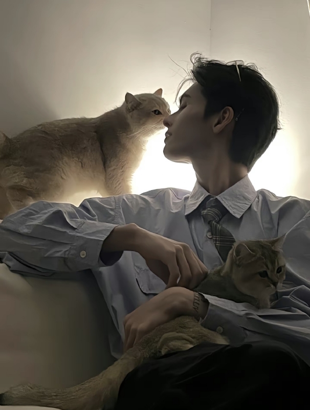 怪猫的第一张照片--贵州交友中心